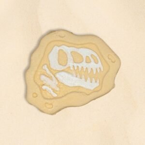 Dino Dig Bath Bomb
